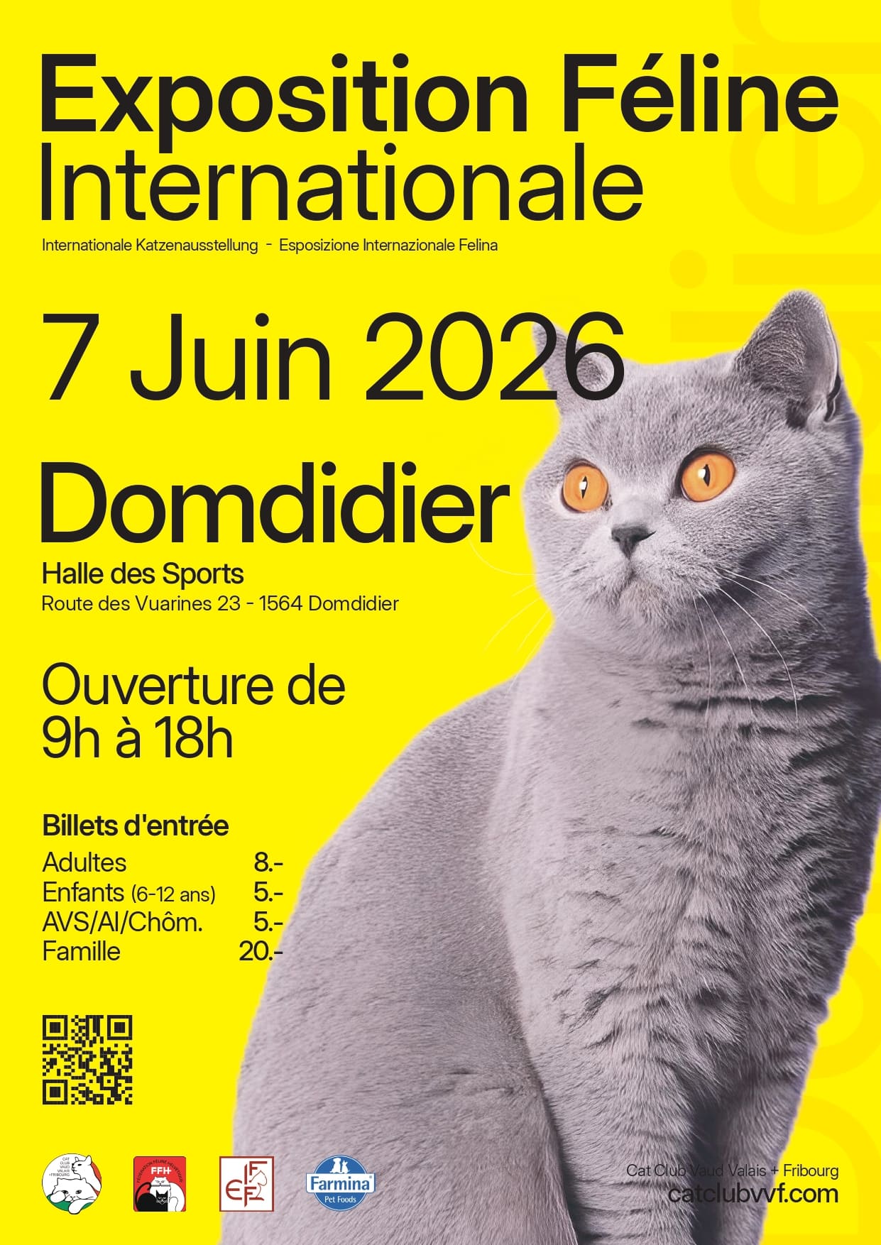 CCVVF EFI 2026 Affiche