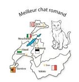 Meilleur chat Romand